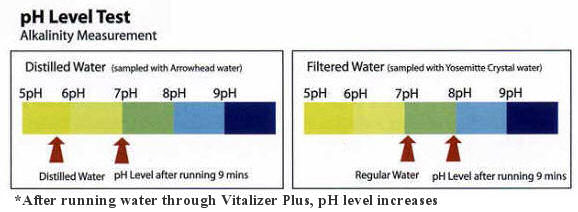 Vitalizer Plus pH